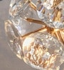 Vienna Crystal Halo Wall Sconce 3C LED Metal Finish