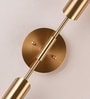 Vienna Halo Gold 3C LED Wall Sconce
