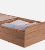 Pure Vienta Single Bed With Box Storage In Brown Finish