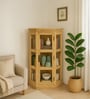 Vilina Mango Wood Corner Cabinet  In Natural finish