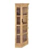 Vilina Mango Wood Tall Corner Cabinet In Natural finish