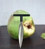Vina Silver & Black Stainless Steel Coconut Opener