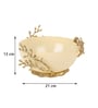 Vincent Glass Bowl in cream & Gold