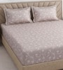 Vine Floral 400 TC Cotton Queen Size Fitted Bedsheet With 2 Pillow Covers