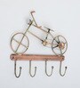 Vintage Cycle  Multicolour Iron  Key Holder
