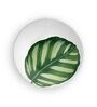 Vintage Leaf Style Wall Plate