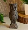 Vintage Owl Brown Terracotta Showpiece