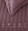 Grey 300TC 100% Cotton Stripe Flat Super King Bedsheet with 2 Pillow Covers