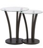 Viola Nest of Tables (Set of 2 ) in Wenge Finish