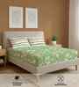 Viola Sage Green Floral 144 Tc Cotton King Bedsheet With 2 Pillow Covers