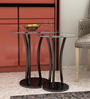 Viola Nest of Tables (Set of 2 ) in Wenge Finish