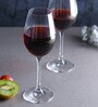 Viola 250ml (Set of 6) Wine Glass