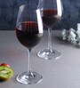 Crystal Voila 450ml (Set of 6) Wine Glass