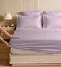 Violet Glace Cotton Solid Elastic Fitted King Bedsheet With 2 Pillow Covers