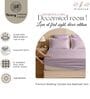 Violet Glace Cotton Solid Elastic Fitted King Bedsheet With 2 Pillow Covers