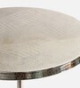 Viotto Croc Metal End Table in Silver Colour