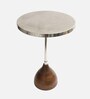 Viotto Croc Metal End Table in Silver Colour