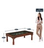 Vipra Sheesham Wood Coffee Table In Honey Oak Finish