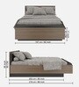 Virgo Queen Size Bed in Grey Finish With Box Storage