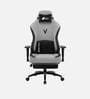Vision Pro V2 Ergonomic Gaming Chair In Earth Color