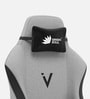 Vision Pro V2 Ergonomic Gaming Chair In Earth Color