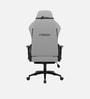 Vision Pro V2 Ergonomic Gaming Chair In Earth Color