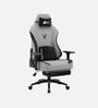 Vision Pro V2 Ergonomic Gaming Chair In Earth Color