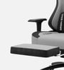 Vision Pro V2 Ergonomic Gaming Chair In Earth Color