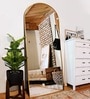Vista Frame Floor Mirror Gold Arched (150 x 40) CM