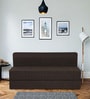 Dreamer 8 Inch Foam (72x60) In Brown Colour Queen Size Sofa Cum Foldable Mattress