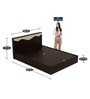 Vurv Queen Size Bed with Storage in Cola Rain Finish