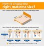 Viva Dual Orthopedic 5 inch Foam Queen Size Mattress with Zero Partner Disturbance