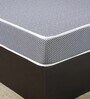Viva Dual Orthopedic 8 inch Foam Queen Size Mattress with Zero Partner Disturbance