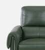 Vivian Leather 1 Seater Motorized Recliners With Usb Port In Green Color