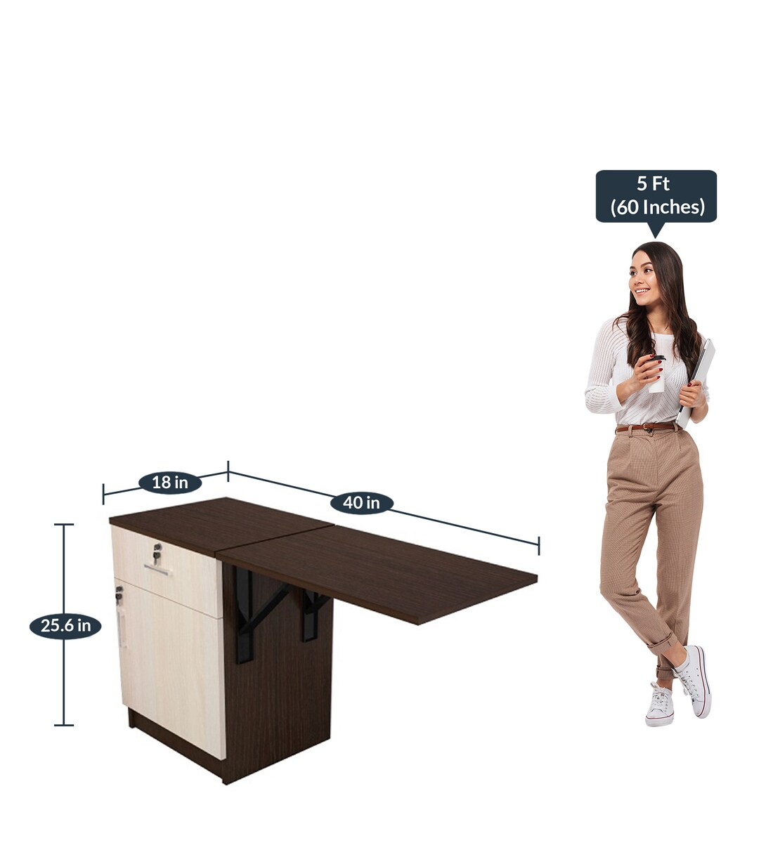 Voyager 1 vs 2 image