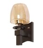 Vogue Brown & Mild Steel Wall Light