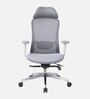 Vogue Breathable Mesh  Ergonomic Chair In Grey Colour