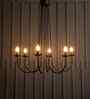 Volfin 6 Lt Glass Chandelier