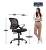 Volga Office Executive Mesh Chair in Black Colour