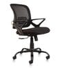 Volga Office Executive Mesh Chair in Black Colour