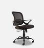 Volga Office Executive Mesh Chair in Black Colour