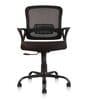 Volga Office Executive Mesh Chair in Black Colour