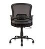 Volga Office Executive Mesh Chair in Black Colour