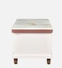 Vylt Marble Top Coffee Table In White Colour