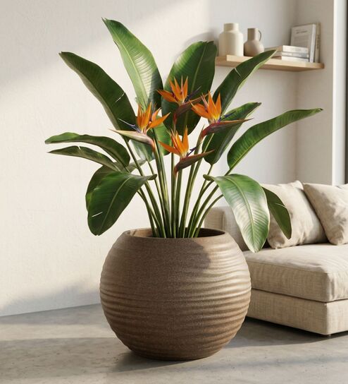 W SPHR Choco Brown 13 Inch German Polymer Round Plant Container