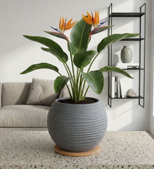 W SPHR Grey 10 Inch German Polymer Round Plant Container