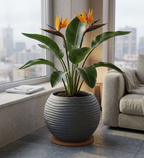 W SPHR Grey 13 Inch German Polymer Round Plant Container