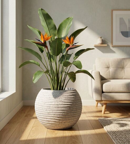W SPHR Marble White 13 Inch German Polymer Round Plant Container