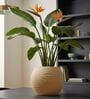 W SPHR Beige 10 Inch German Polymer Round Plant Container