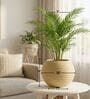 W SPHR Beige 10 Inch German Polymer Round Plant Container
